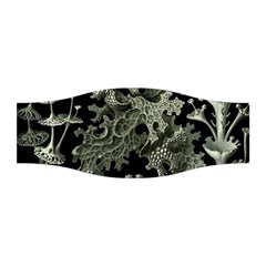 Weave Haeckel Lichenes Photobionten Stretchable Headband