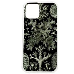 Weave Haeckel Lichenes Photobionten Iphone 12 Pro Max Tpu Uv Print Case