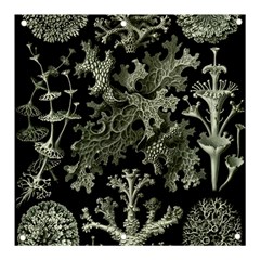 Weave Haeckel Lichenes Photobionten Banner And Sign 3  X 3 