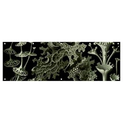 Weave Haeckel Lichenes Photobionten Banner And Sign 12  X 4  by Cemarart