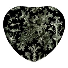 Weave Haeckel Lichenes Photobionten Heart Glass Fridge Magnet (4 Pack)