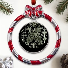 Weave Haeckel Lichenes Photobionten Metal Red Ribbon Round Ornament by Cemarart