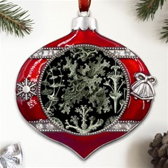 Weave Haeckel Lichenes Photobionten Metal Snowflake And Bell Red Ornament