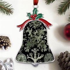 Weave Haeckel Lichenes Photobionten Metal Holly Leaf Bell Ornament