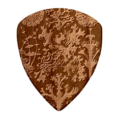 Weave Haeckel Lichenes Photobionten Wood Guitar Pick (set Of 10)