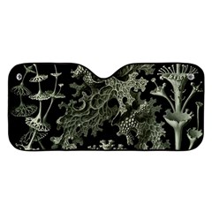 Weave Haeckel Lichenes Photobionten Car Windshield Sunshade