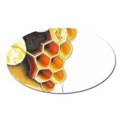 Image-2500x3000 (28) Oval Magnet