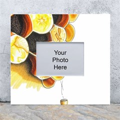 Image-2500x3000 (28) White Wall Photo Frame 5  X 7 