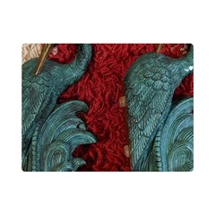 Pxl 20231123 001543615 Premium Plush Fleece Blanket (mini)