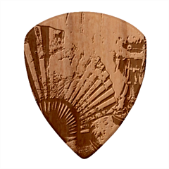 Pxl 20231129 000318816 Wood Guitar Pick (set Of 10) by bestdesignintheworld