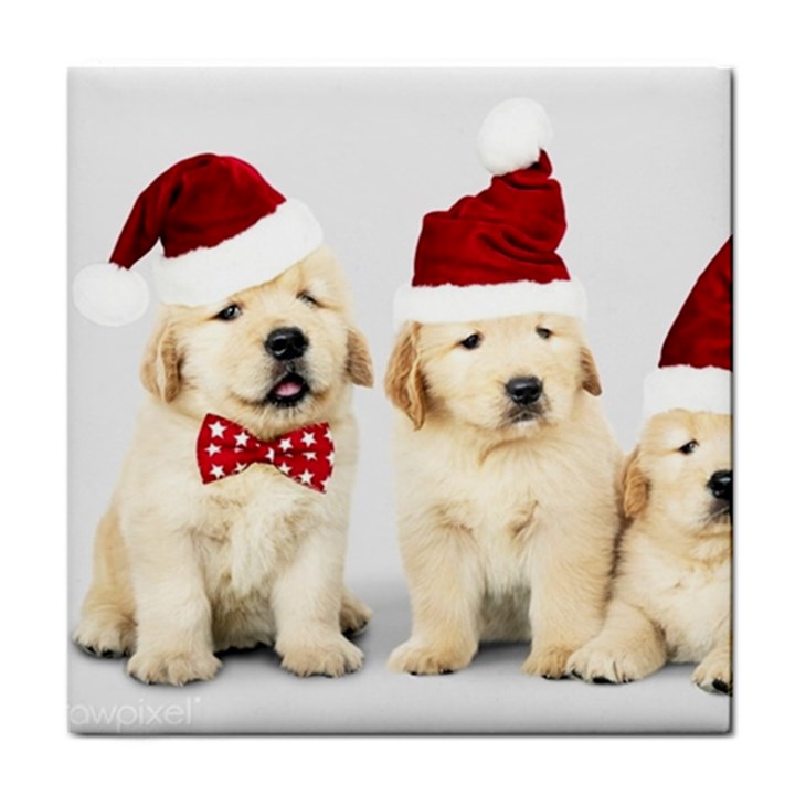 Christmas Puppies, Santa, Craciun, Christmas, Funny, Hat, Puppy, Red Tile Coaster