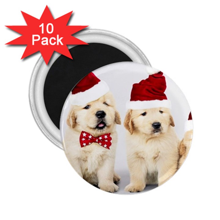 Christmas Puppies, Santa, Craciun, Christmas, Funny, Hat, Puppy, Red 2.25  Magnets (10 pack) 