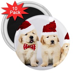 Christmas Puppies, Santa, Craciun, Christmas, Funny, Hat, Puppy, Red 3  Magnets (10 pack) 