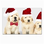 Christmas Puppies, Santa, Craciun, Christmas, Funny, Hat, Puppy, Red Postcard 4 x 6  (Pkg of 10) Front