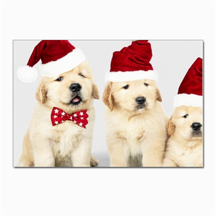 Christmas Puppies, Santa, Craciun, Christmas, Funny, Hat, Puppy, Red Postcard 4 x 6  (Pkg of 10)