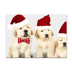 Christmas Puppies, Santa, Craciun, Christmas, Funny, Hat, Puppy, Red Sticker A4 (10 Pack) by kyorashop23