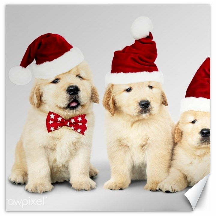 Christmas Puppies, Santa, Craciun, Christmas, Funny, Hat, Puppy, Red Canvas 12  x 12 