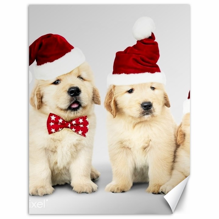 Christmas Puppies, Santa, Craciun, Christmas, Funny, Hat, Puppy, Red Canvas 12  x 16 