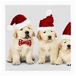 Christmas Puppies, Santa, Craciun, Christmas, Funny, Hat, Puppy, Red Medium Glasses Cloth Front