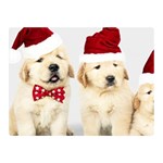 Christmas Puppies, Santa, Craciun, Christmas, Funny, Hat, Puppy, Red Two Sides Premium Plush Fleece Blanket (Mini) 35 x27  Blanket Front