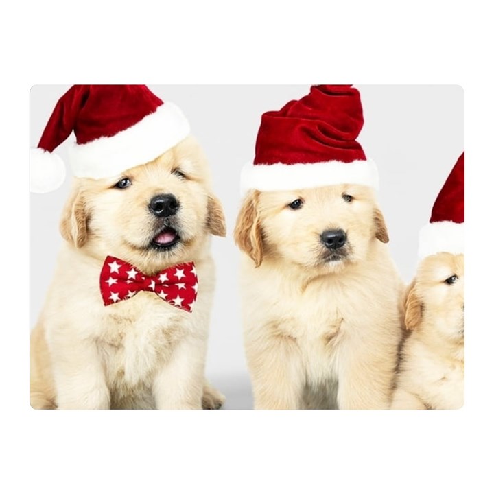 Christmas Puppies, Santa, Craciun, Christmas, Funny, Hat, Puppy, Red Two Sides Premium Plush Fleece Blanket (Mini)