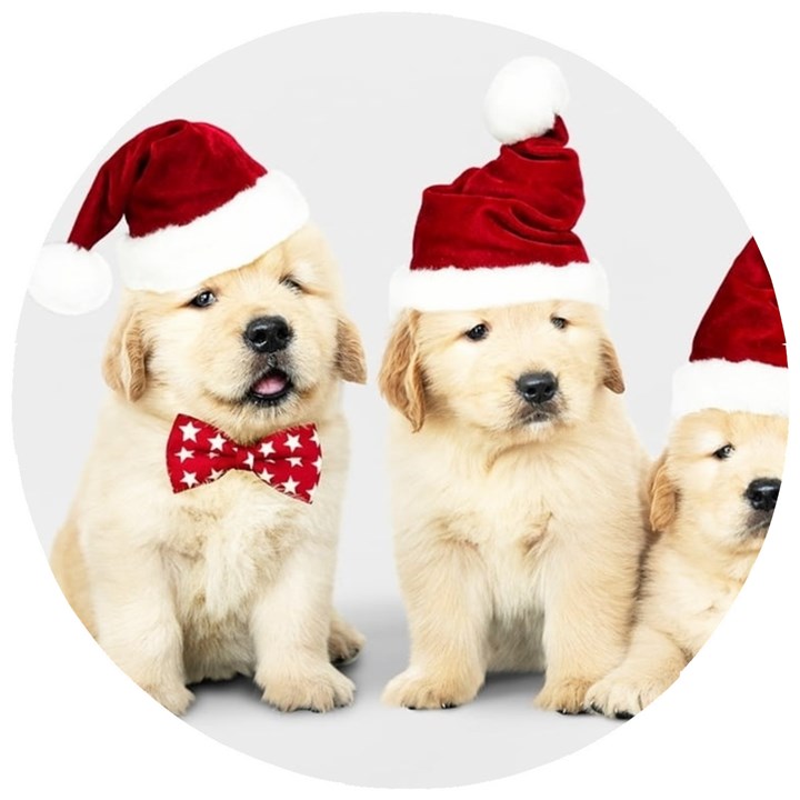 Christmas Puppies, Santa, Craciun, Christmas, Funny, Hat, Puppy, Red Wooden Puzzle Round