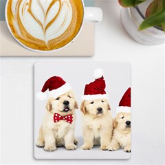 Christmas Puppies, Santa, Craciun, Christmas, Funny, Hat, Puppy, Red Uv Print Square Tile Coaster  by kyorashop23