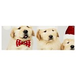 Christmas Puppies, Santa, Craciun, Christmas, Funny, Hat, Puppy, Red Banner and Sign 12  x 4  Front