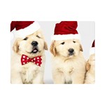 Christmas Puppies, Santa, Craciun, Christmas, Funny, Hat, Puppy, Red Premium Plush Fleece Blanket (Mini) 35 x27  Blanket Front