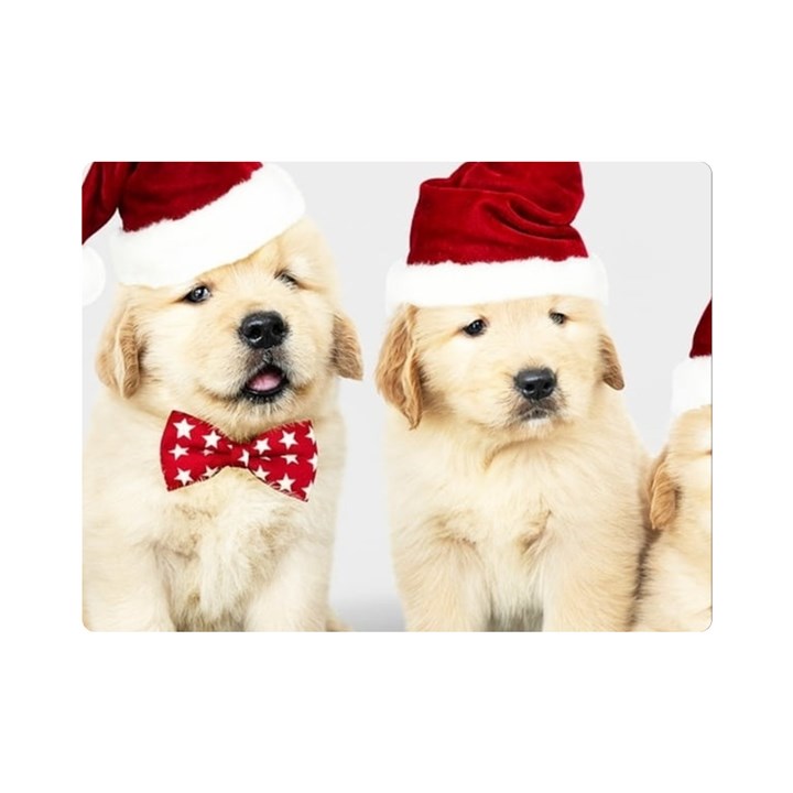 Christmas Puppies, Santa, Craciun, Christmas, Funny, Hat, Puppy, Red Premium Plush Fleece Blanket (Mini)