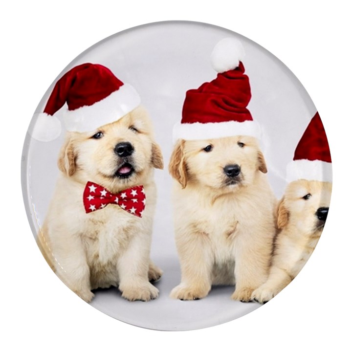 Christmas Puppies, Santa, Craciun, Christmas, Funny, Hat, Puppy, Red Round Glass Fridge Magnet (4 pack)