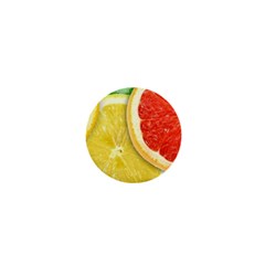 Fruit, Lemon 1  Mini Magnets