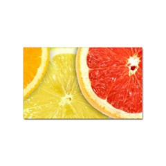 Fruit, Lemon Sticker (rectangular)