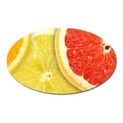 Fruit, Lemon Oval Magnet by kyorashop23