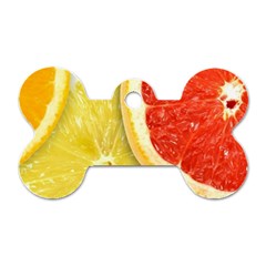 Fruit, Lemon Dog Tag Bone (two Sides) by kyorashop23