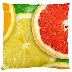 Fruit, Lemon Large Cushion Case (two Sides)