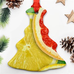 Fruit, Lemon Christmas Tree Ornament (two Sides)