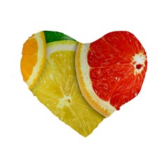 Fruit, Lemon Standard 16  Premium Heart Shape Cushions