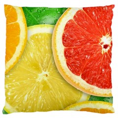 Fruit, Lemon Large Premium Plush Fleece Cushion Case (two Sides)