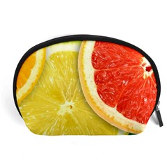 Fruit, Lemon Accessory Pouch (large) by kyorashop23