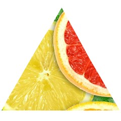 Fruit, Lemon Wooden Puzzle Triangle by kyorashop23