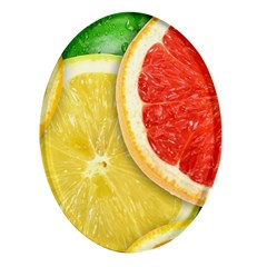 Fruit, Lemon Oval Glass Fridge Magnet (4 Pack) by kyorashop23