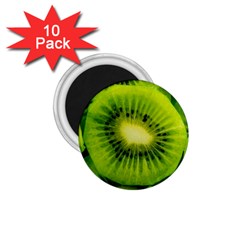 Kiwi Fruits, Close-up, Exotic Fruit 1 75  Magnets (10 Pack) 