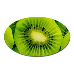 Kiwi Fruits, Close-up, Exotic Fruit Oval Magnet