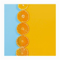 Orange, Slices, Fruit, Citrus Medium Glasses Cloth