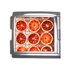 Orange, Fruit, Citrus Mega Link Italian Charm (18mm)