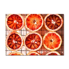 Orange, Fruit, Citrus Sticker A4 (100 Pack)