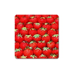 Strawberry Texture, Macro, Ripe Strawberry Square Magnet by kyorashop23