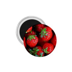 Strawberry, Berries, Fresh, Red 1 75  Magnets by kyorashop23