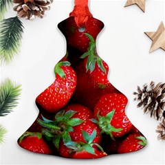 Strawberry, Berries, Fresh, Red Ornament (christmas Tree) 